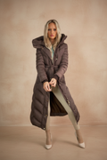 Brown Coat — New Background